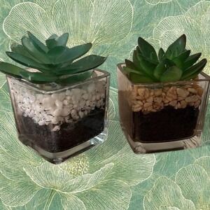 Fake Succulent terrariums with glass containers